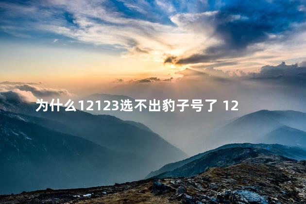 为什么12123选不出豹子号了 12123选号没有合适的可以不选吗